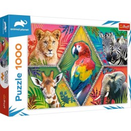 Puzzle 1000 elementów Egzotyczne zwierzęta Animal Planet