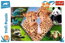 Puzzle 100 elementów - Piękno natury Animal Planet