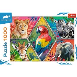 Puzzle 1000 elementów Egzotyczne zwierzęta Animal Planet