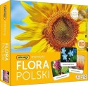 Gra Flora Polski memory