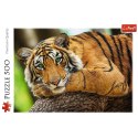 Puzzle 500 elementów Portret tygrysa