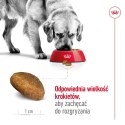 ROYAL CANIN SHN Maxi Adult - sucha karma dla psa dorosłego - 15 kg